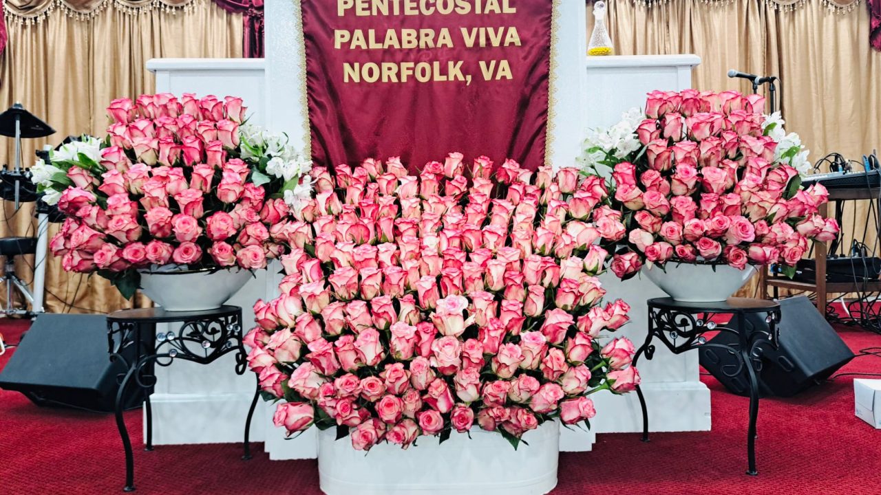 WhatsApp Image 2025-11-12 at 12.48.42 PM